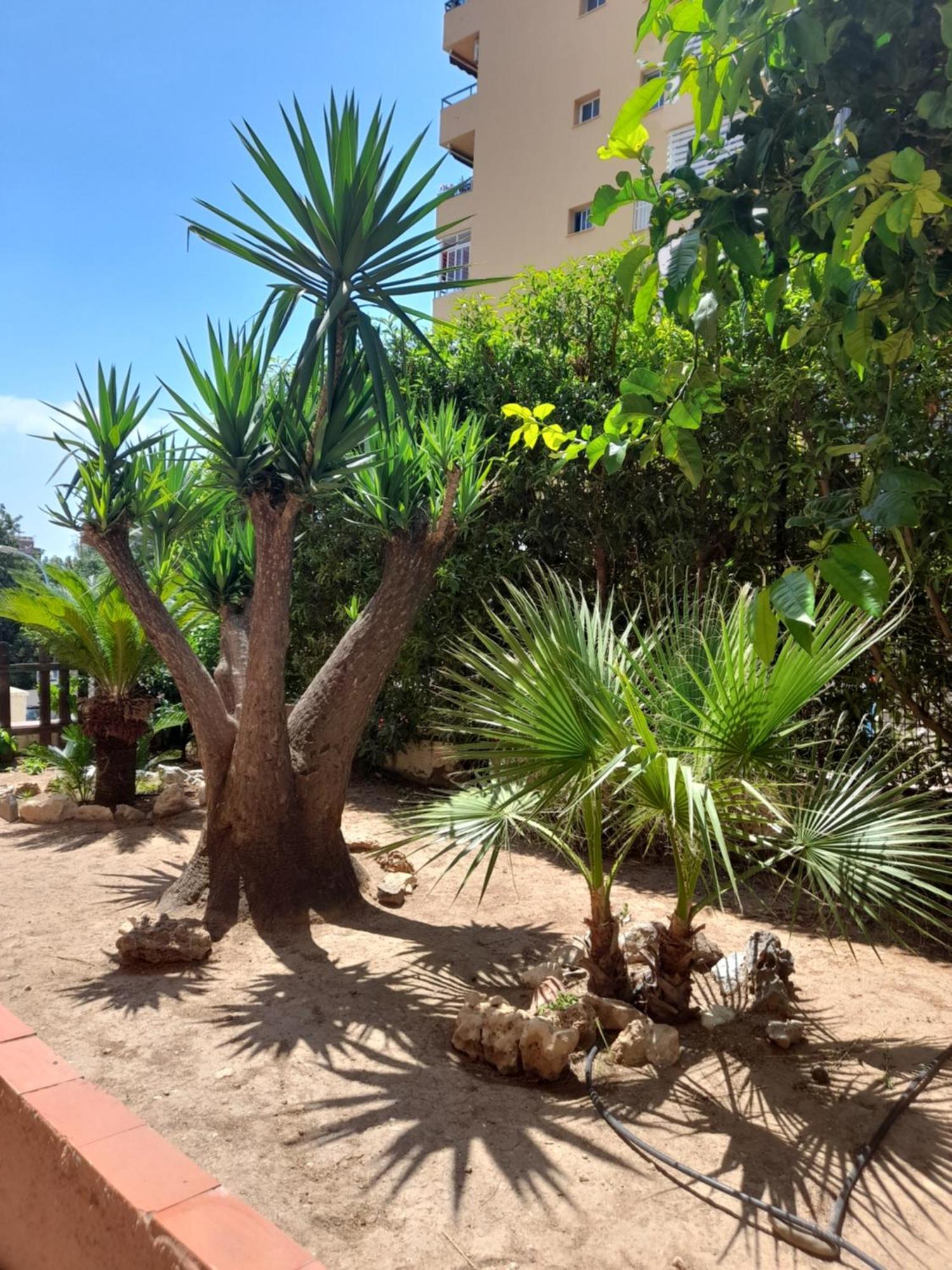 Апартаменты Torremolinos Centro Beach Экстерьер фото