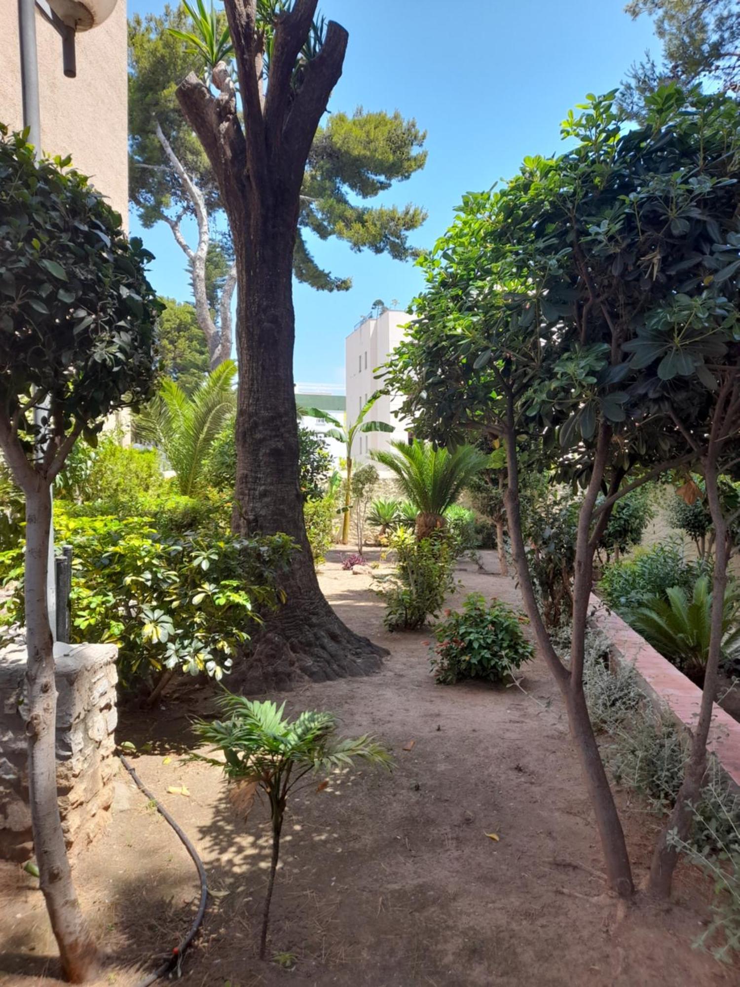 Апартаменты Torremolinos Centro Beach Экстерьер фото